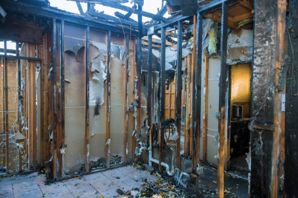 Professional Odor Removal technician working in New Paris, IN